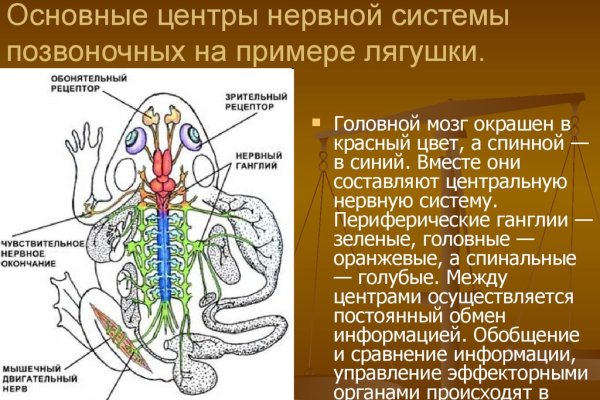 Kraken даркнет переходник